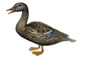 http://png-images.ru/wp-content/uploads/2015/02/duck_PNG5018-170x120.png