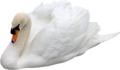 http://img-fotki.yandex.ru/get/6501/163781271.26/0_79d09_4efe35b6_M.jpg