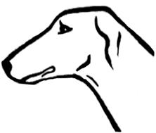 голова4