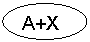 ����: A+XY