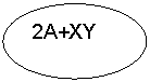 ����: 2A+XY