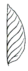 http://192.168.1.1:800/docs/073C3E271689AE864D872C216F837BDB/questions/OKmon.BI.6.12.02/innerimg11.gif