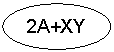 Овал: 2A+XY