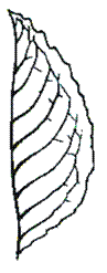 http://192.168.1.1:800/docs/073C3E271689AE864D872C216F837BDB/questions/OKmon.BI.6.12.02/innerimg12.gif