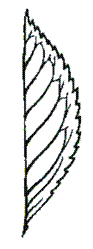 http://192.168.1.1:800/docs/073C3E271689AE864D872C216F837BDB/questions/OKmon.BI.6.12.02/innerimg13.gif