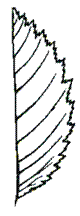 http://192.168.1.1:800/docs/073C3E271689AE864D872C216F837BDB/questions/OKmon.BI.6.12.02/innerimg14.gif