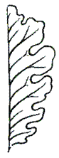 http://192.168.1.1:800/docs/073C3E271689AE864D872C216F837BDB/questions/OKmon.BI.6.12.02/innerimg15.gif