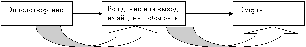 �������: