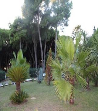 http://rich-tour.com/vasyl/Italy_village/IMG_0977.jpg