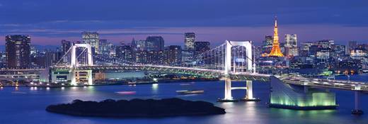 http://zakagioboi.ru/assets/images/products/city/17.05.13/TOKYO-118134214.jpg