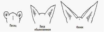 http://mypage.i-exam.ru/pic/1743_210904/A75FC4061EEF4E4D91A100E9FC488190.jpg