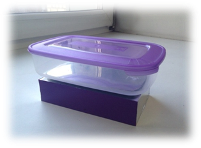 C:\Users\eto\Desktop\od5_gSy62F4.jpg
