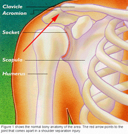 http://www.mendelsonortho.com/body/images/master_89.gif