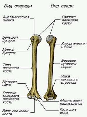 Картинка 2 из 116176
