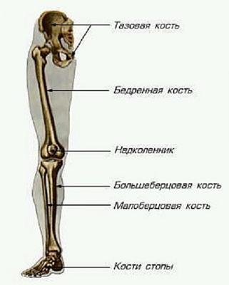 Картинка 1 из 4687