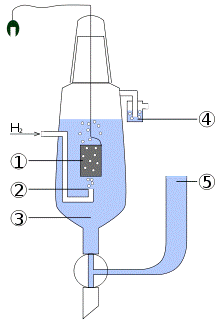 Standard hydrogen electrode 2009-02-06.svg