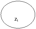 ����: Z1

