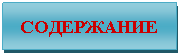 Подпись: СОДЕРЖАНИЕ