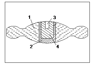 tor-carb2