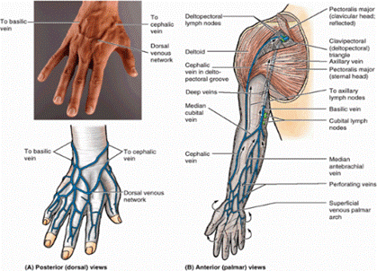 http://www.perpetuum-lab.com.hr/uploads/monthly_08_2011/ccs-6723-0-85458700-1314209141_thumb.png