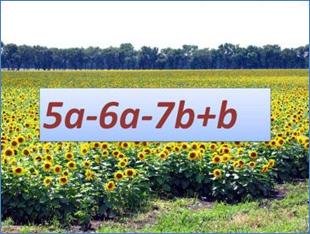 Слайд30.JPG
