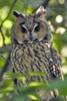 Описание: C:\Documents and Settings\Admin\Мои документы\Downloads\117197-004-785AD006.jpg