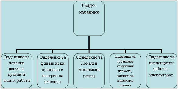 Организационная диаграмма