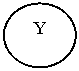 ����: Y
