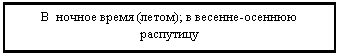 Подпись: В ночное время (летом); в весенне-осеннюю распутицу