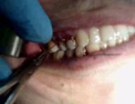 MOV01695_ToMPEG-II_2_split1