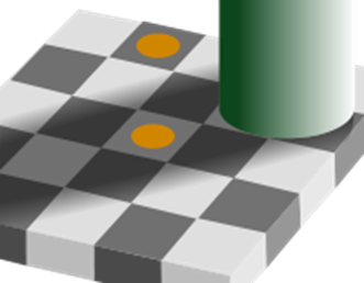 200px-Optical_grey_squares_orange_brown