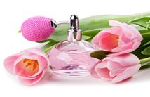 Описание: http://businessideas.com.ua/business-ideas/img/ideas61t1.jpg