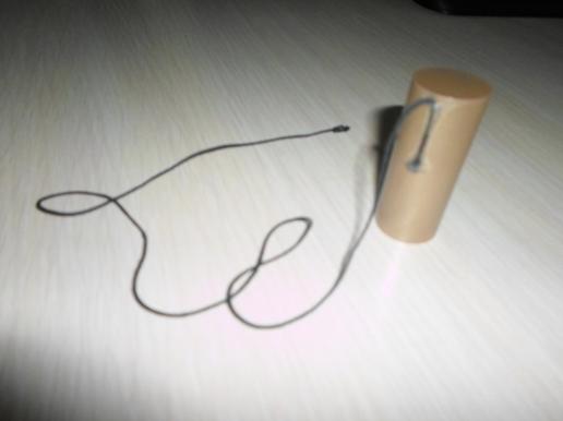 C:\Users\Света\Desktop\конкурс\SAM_6768.JPG