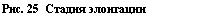 �������: