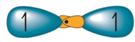 http://chemwiki.ucdavis.edu/@api/deki/files/38961/f1f4d0977dbdfc7f51a4282e620471f2.jpg?revision=1