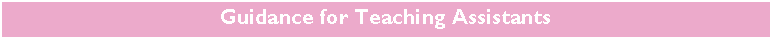 �������: Guidance for Teaching Assistants