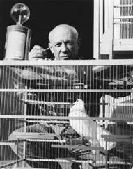 http://picassolive.ru/wp-content/uploads/2012/12/Picasso-et-la-colombe_-Cannes_1955_Photo-Lucien-Clergue.jpg