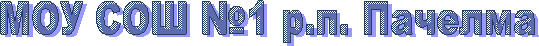 МОУ СОШ №1 р.п. Пачелма