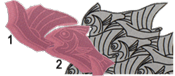 ��������: [Moby Dick 18/1, 18/2]