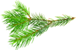 0_fe84b_953a51b5_orig.png