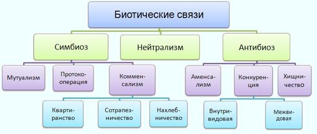 Биотические связи