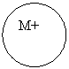����: M+
