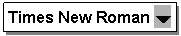 �������: Times New Roman ?