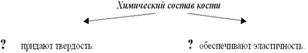 http://festival.1september.ru/articles/505651/img5.gif