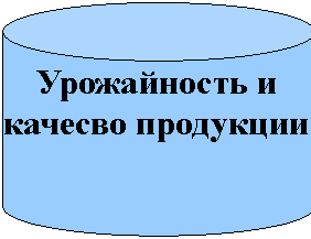 Цилиндр: Урожайность и
качесво продукции