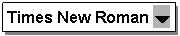 �������: Times New Roman ?