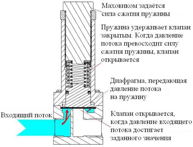 G:\��� ������\���.JPG