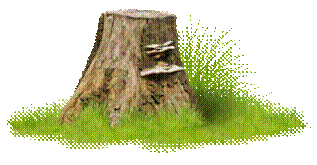 http://foto-ramki.com/priroda/priroda38.png