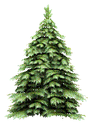 http://pngimg.com/upload/fir_tree_PNG2475.png