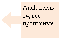 ������� �� �������� ������: Arial, ����� 14, ��� ���������